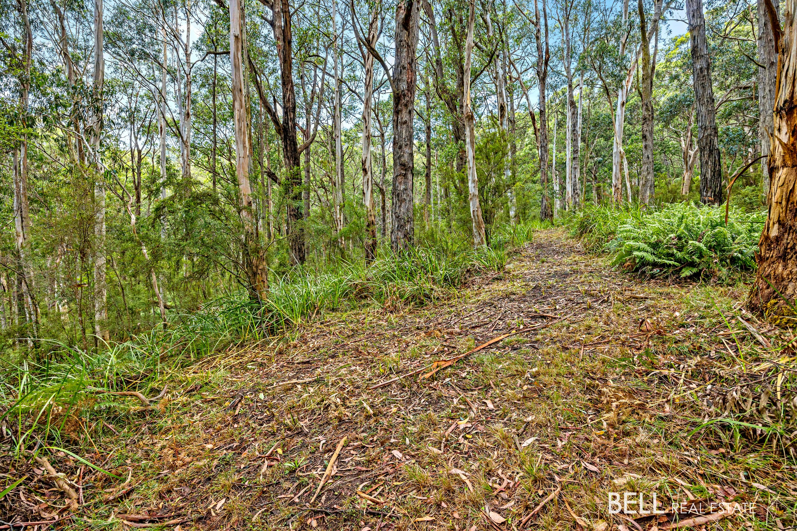 750 Don Road, BADGER CREEK VIC 3777