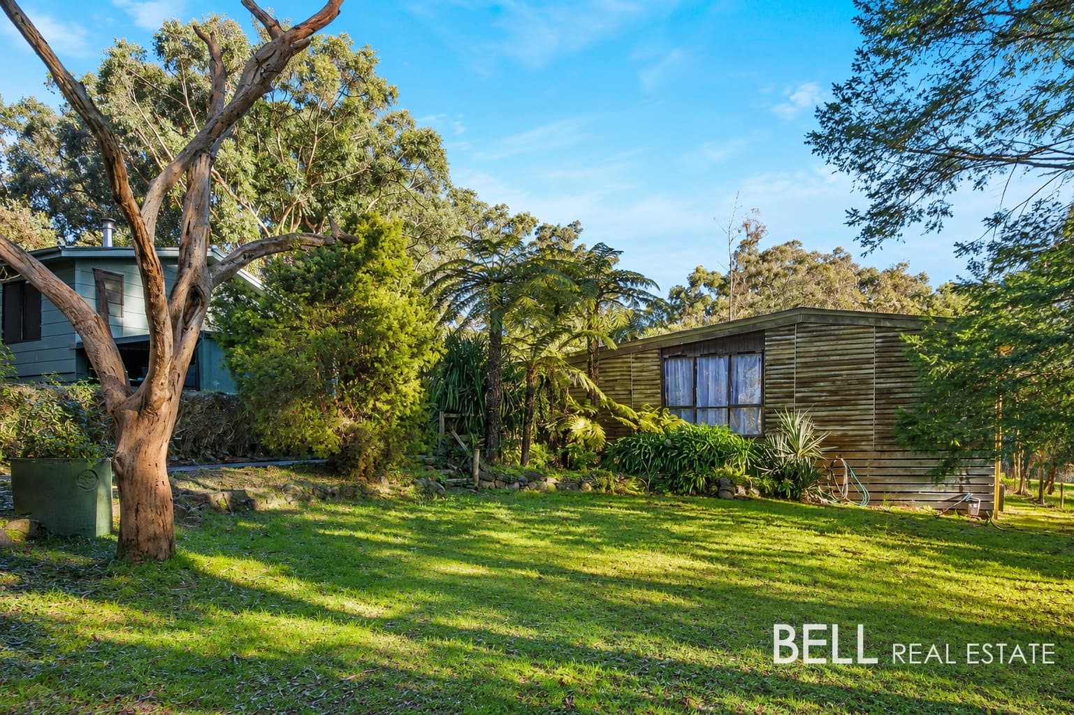 16 Hazel Street, COCKATOO VIC 3781