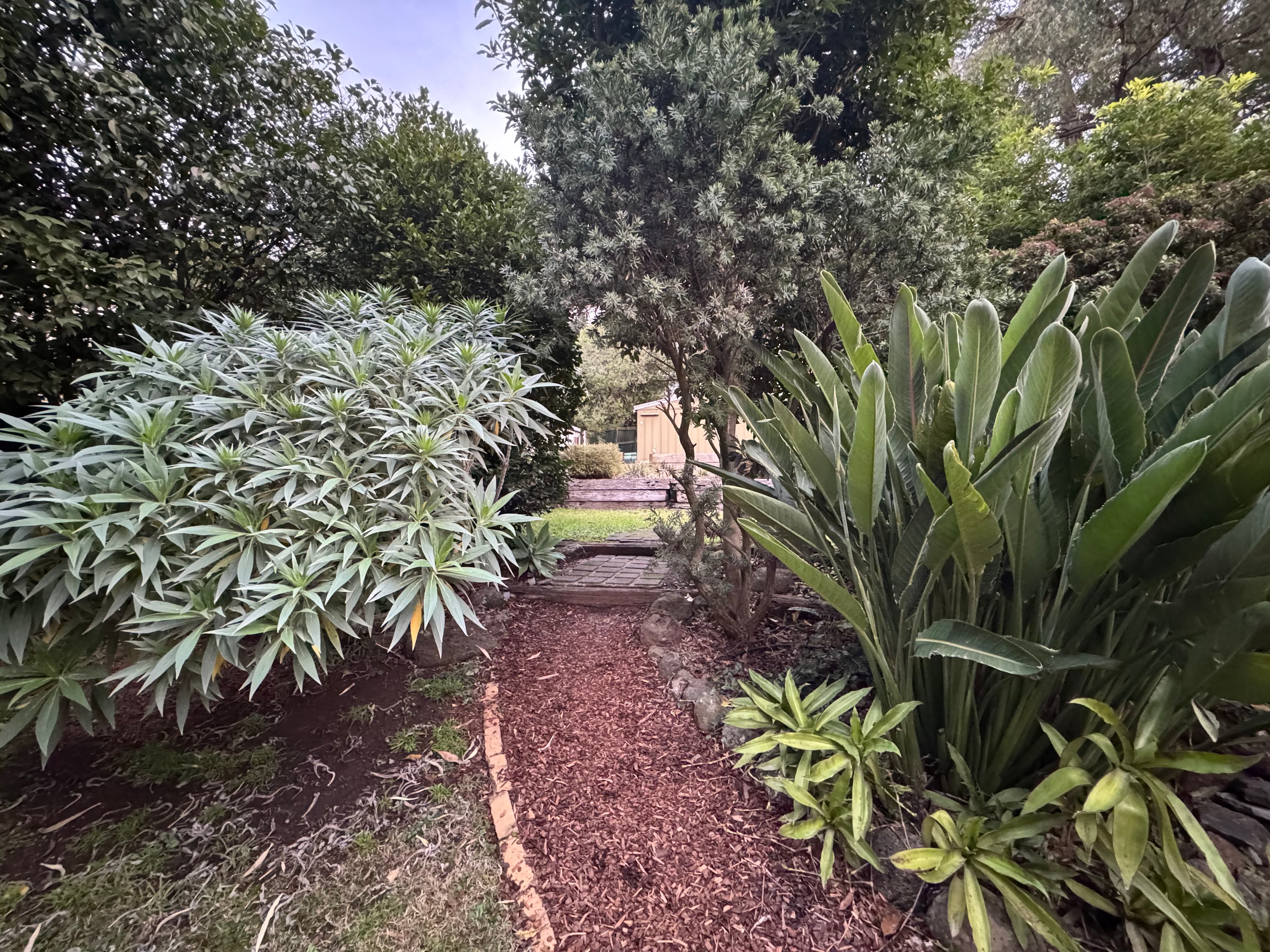 3 Joffre Parade, COCKATOO VIC 3781