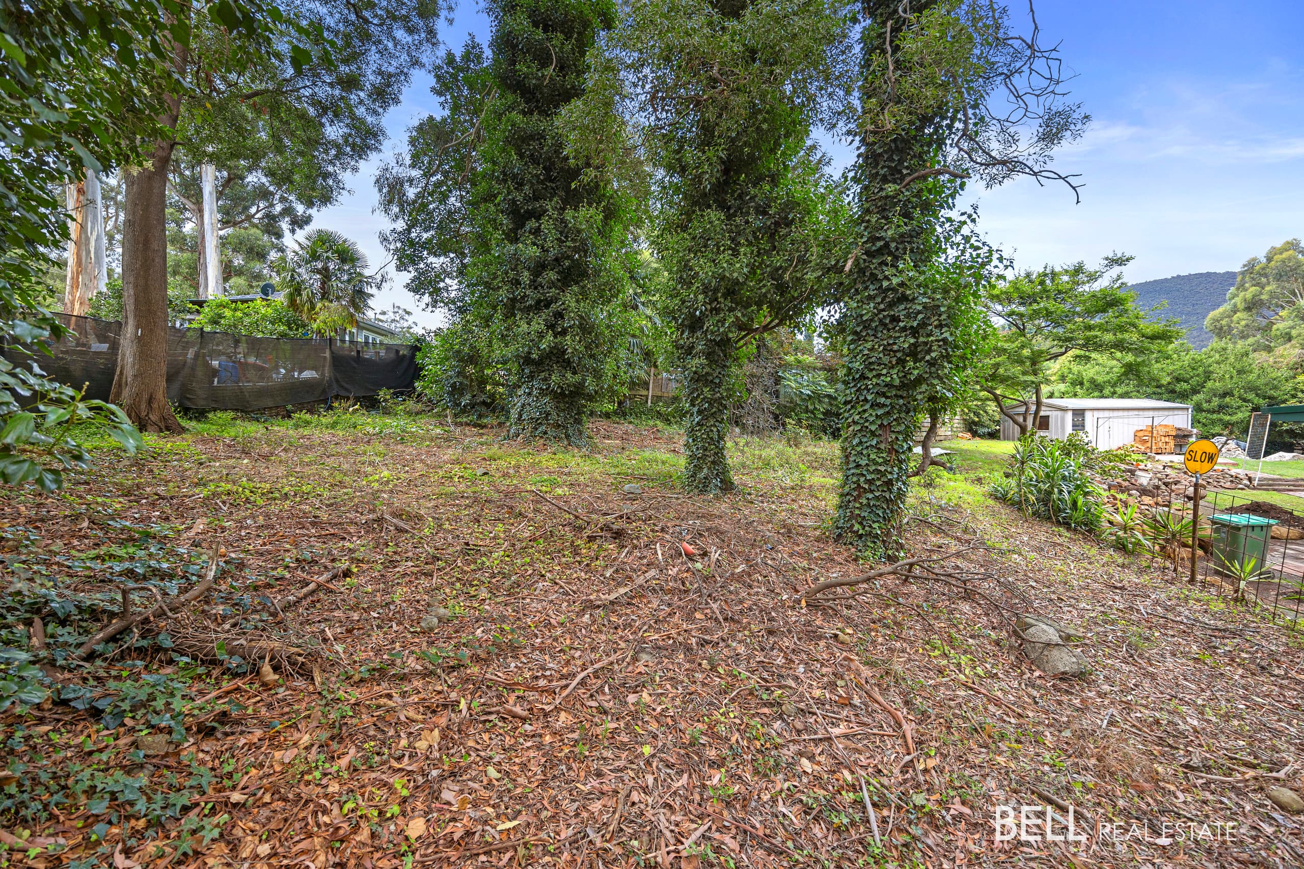 53 Wonga Road, MILLGROVE VIC 3799