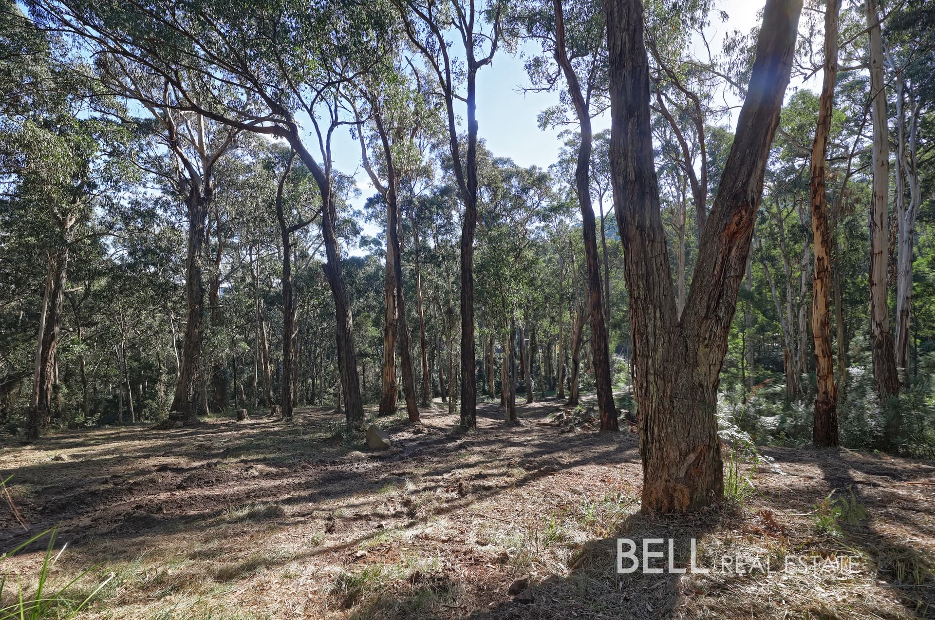 33 Selby Aura Road, MENZIES CREEK VIC 3159