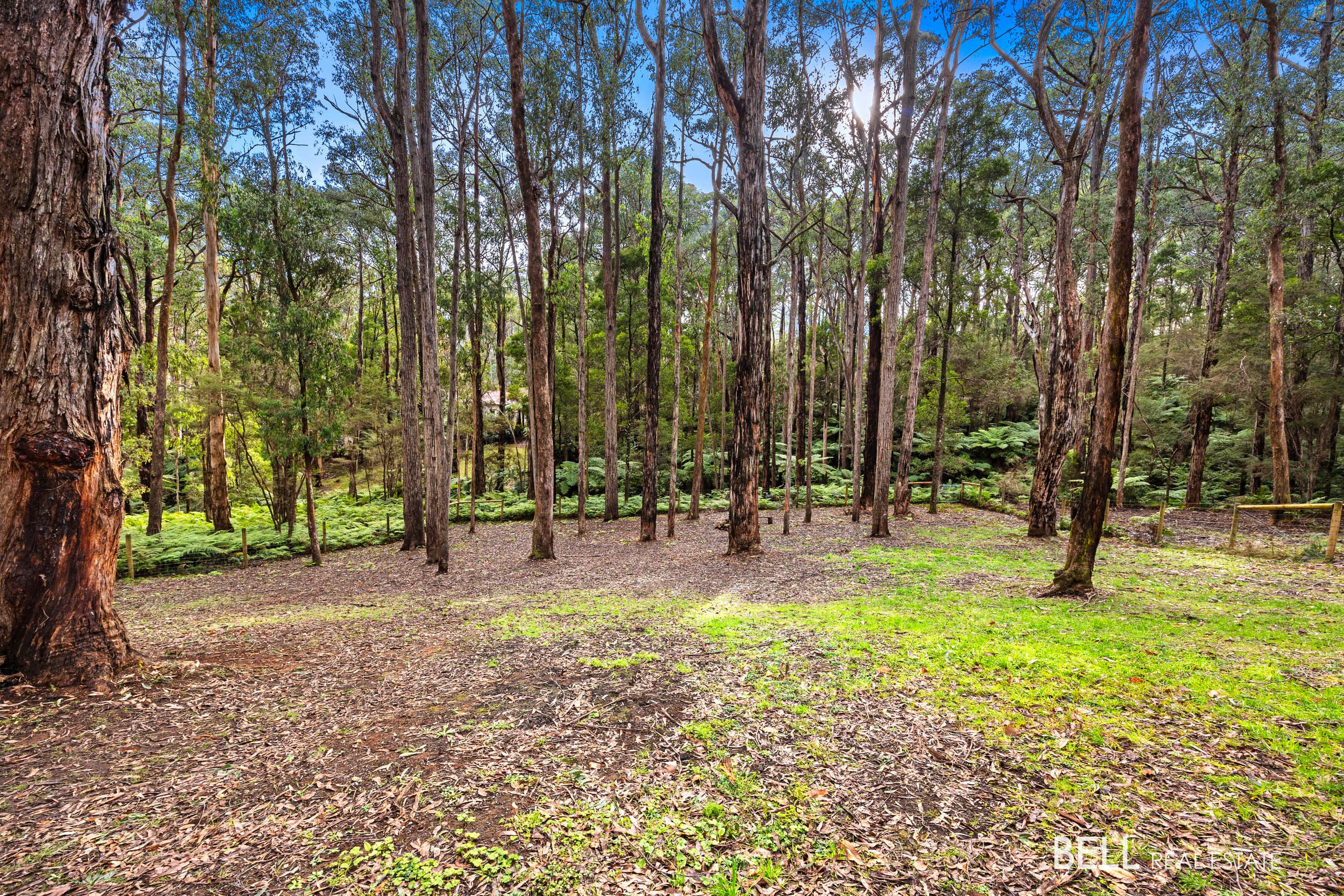 15 Lyrebird Avenue, EAST WARBURTON VIC 3799