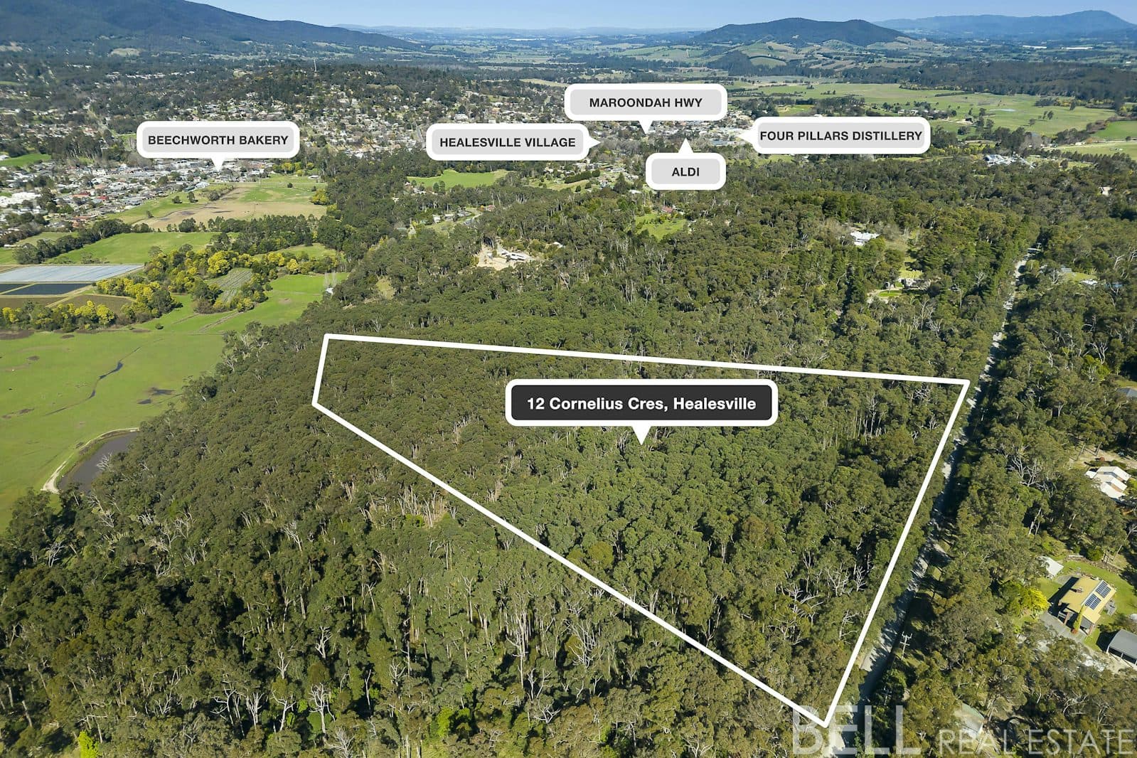 12 Cornelius Crescent, HEALESVILLE VIC 3777