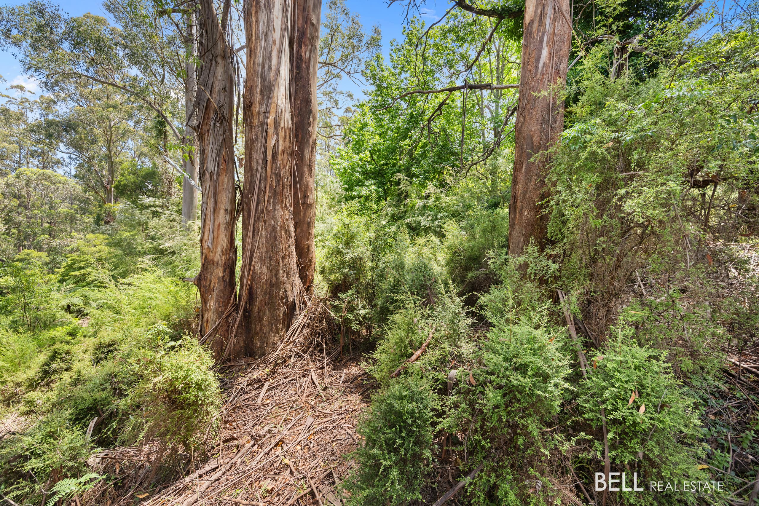 1 Essex Street, WARBURTON VIC 3799