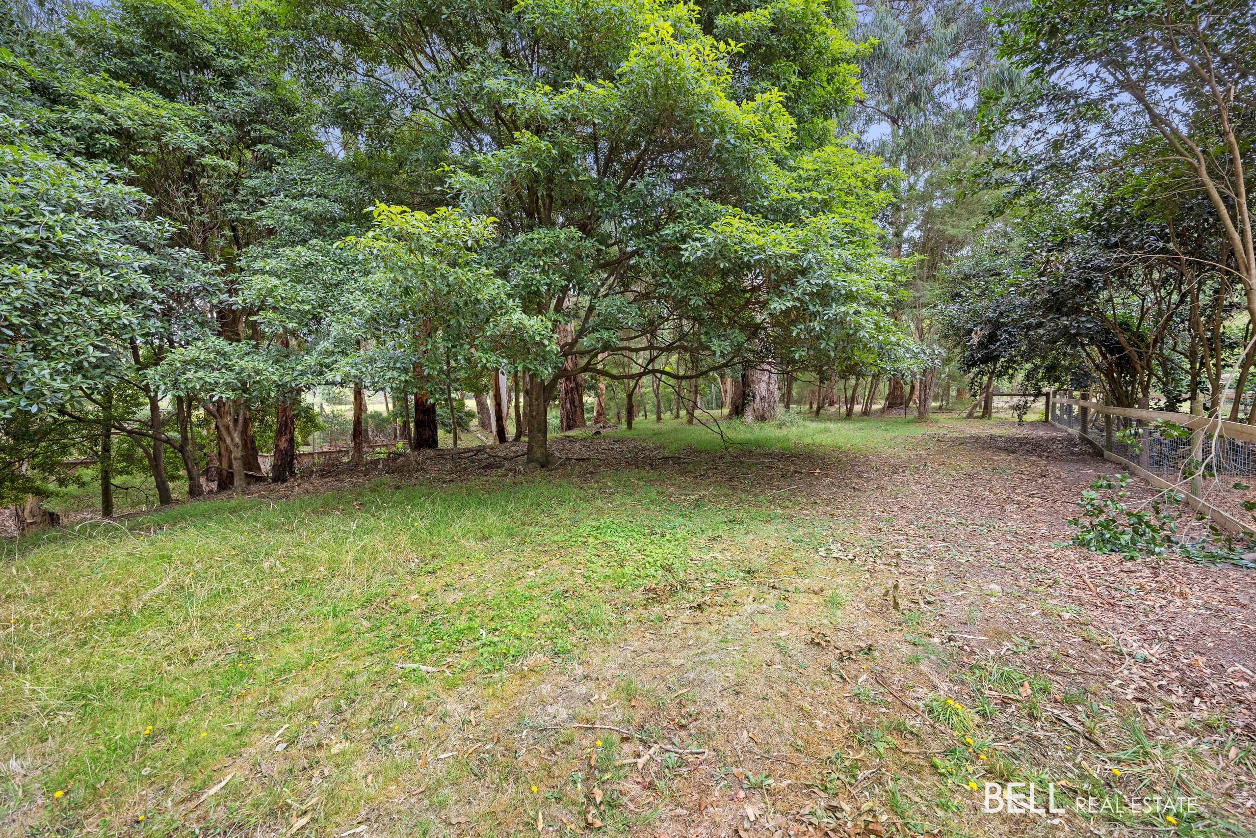 3 River Road, MILLGROVE VIC 3799
