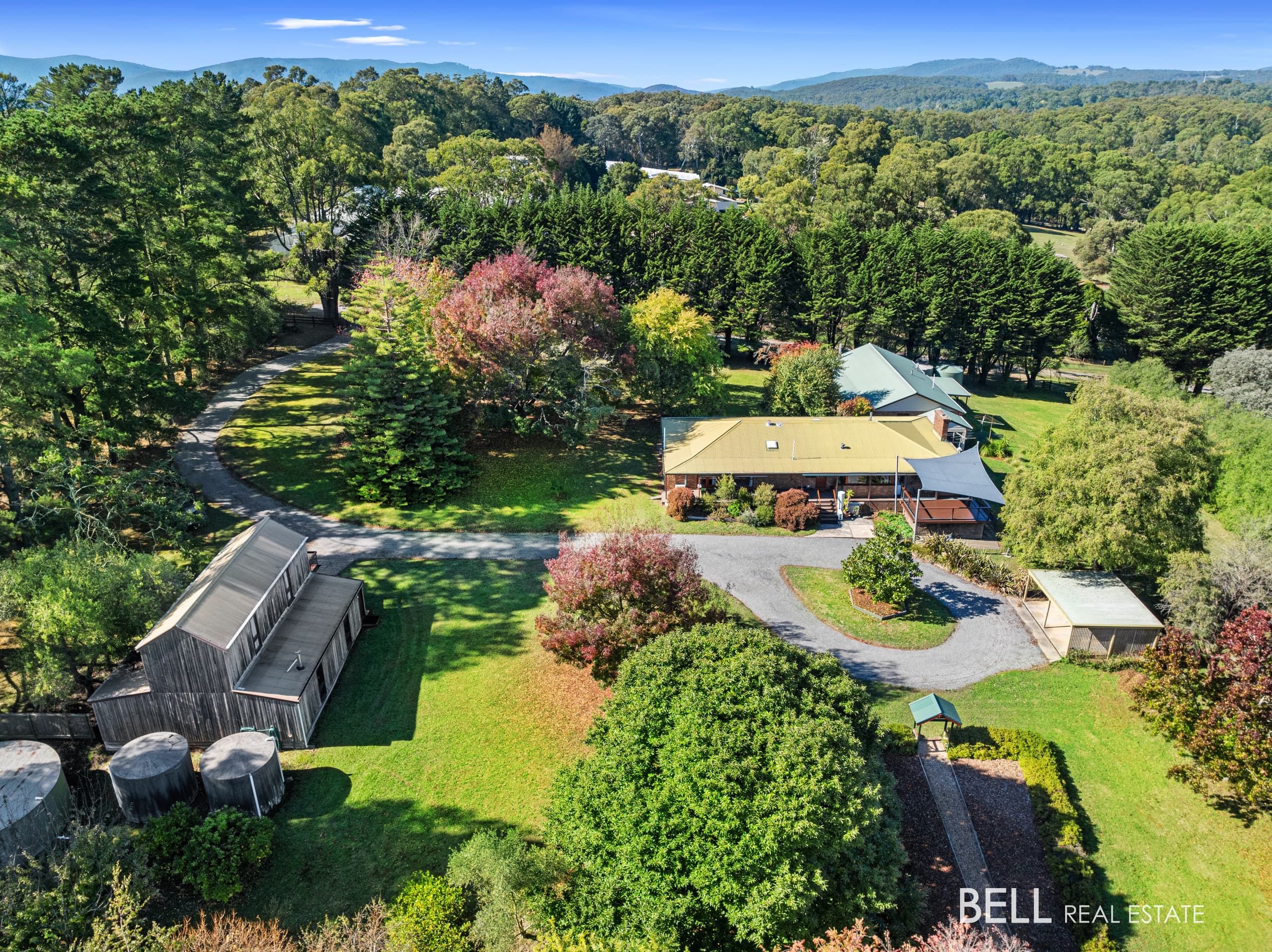 40 Falls Road, HODDLES CREEK VIC 3139