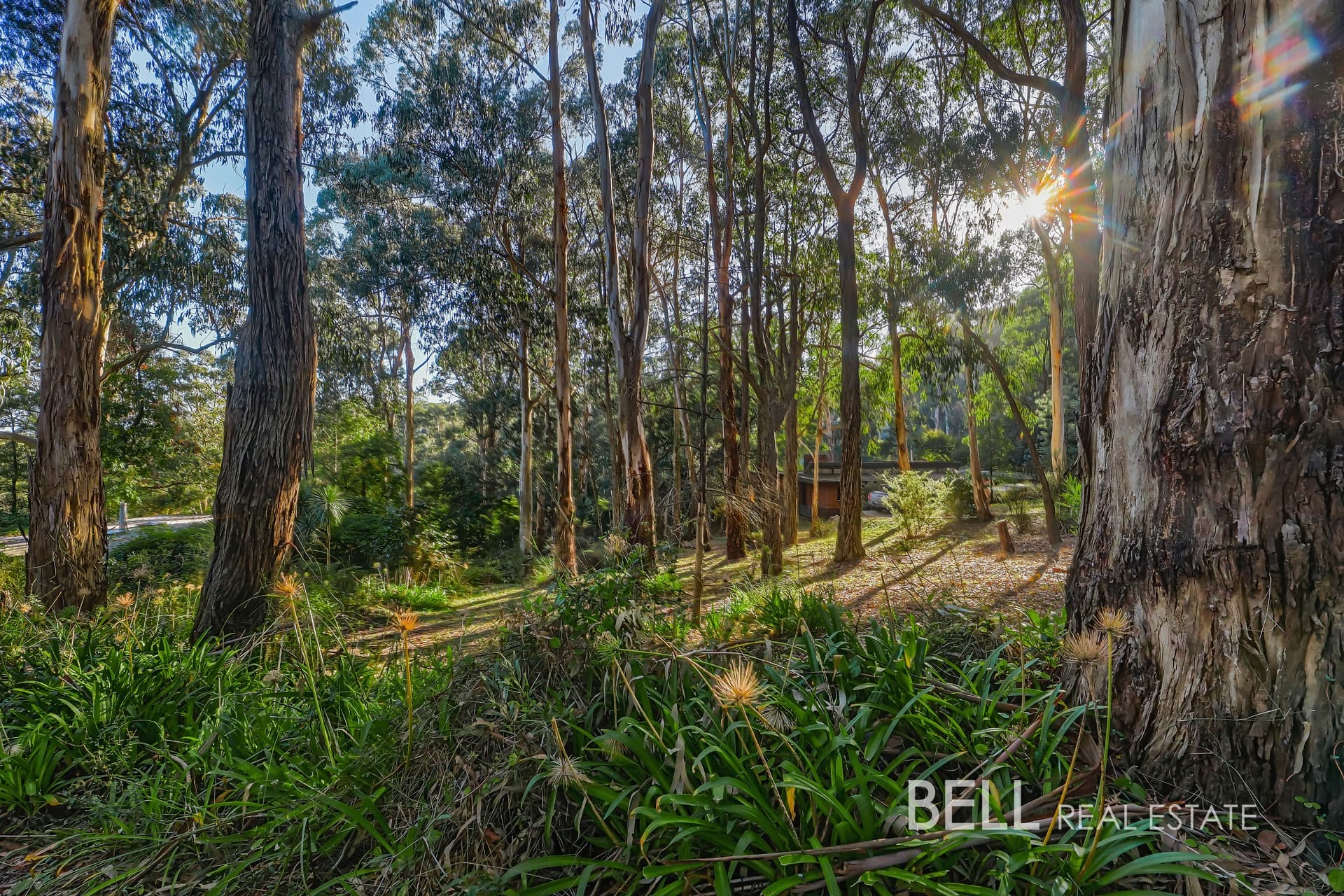 62 Kilvington Drive, EMERALD VIC 3782