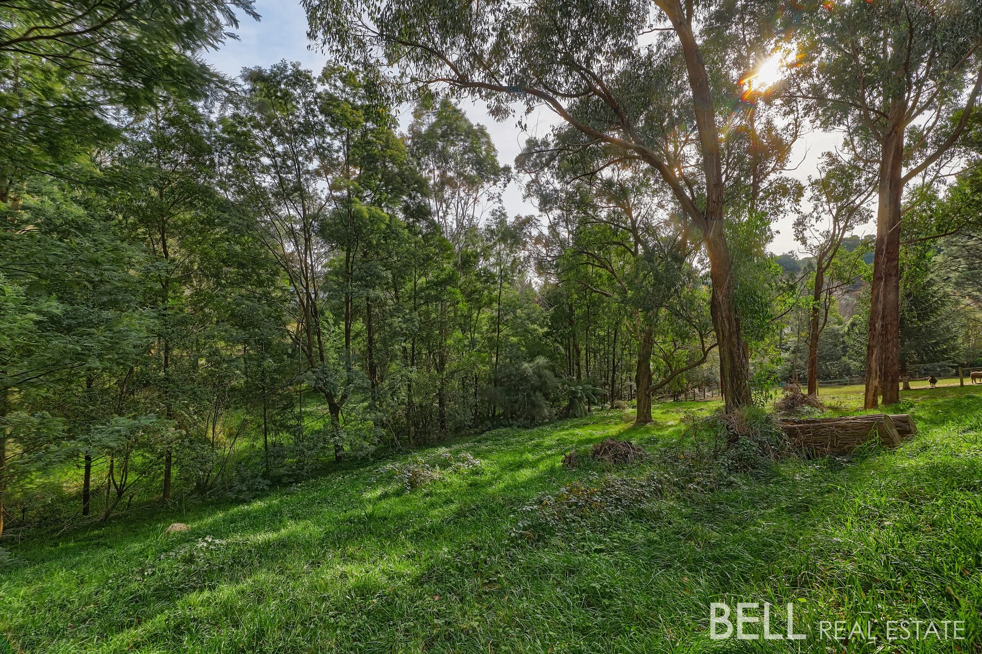 7 Brookdale Avenue, EMERALD VIC 3782