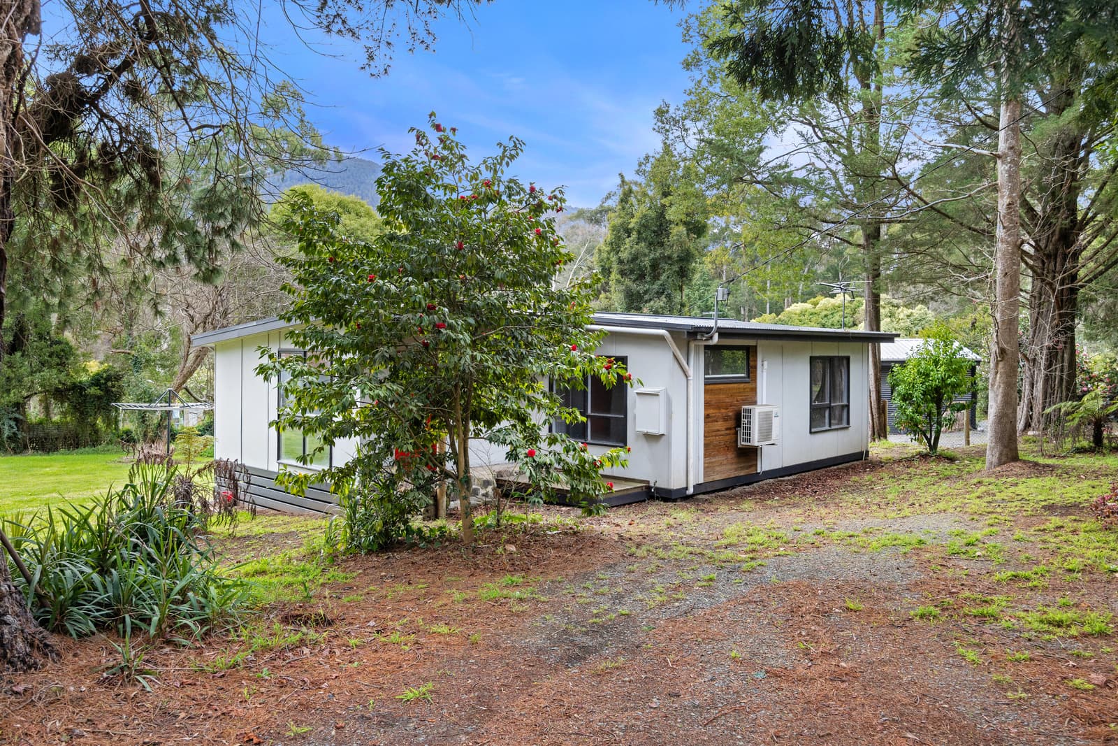 19 Whitegum Drive, EAST WARBURTON VIC 3799