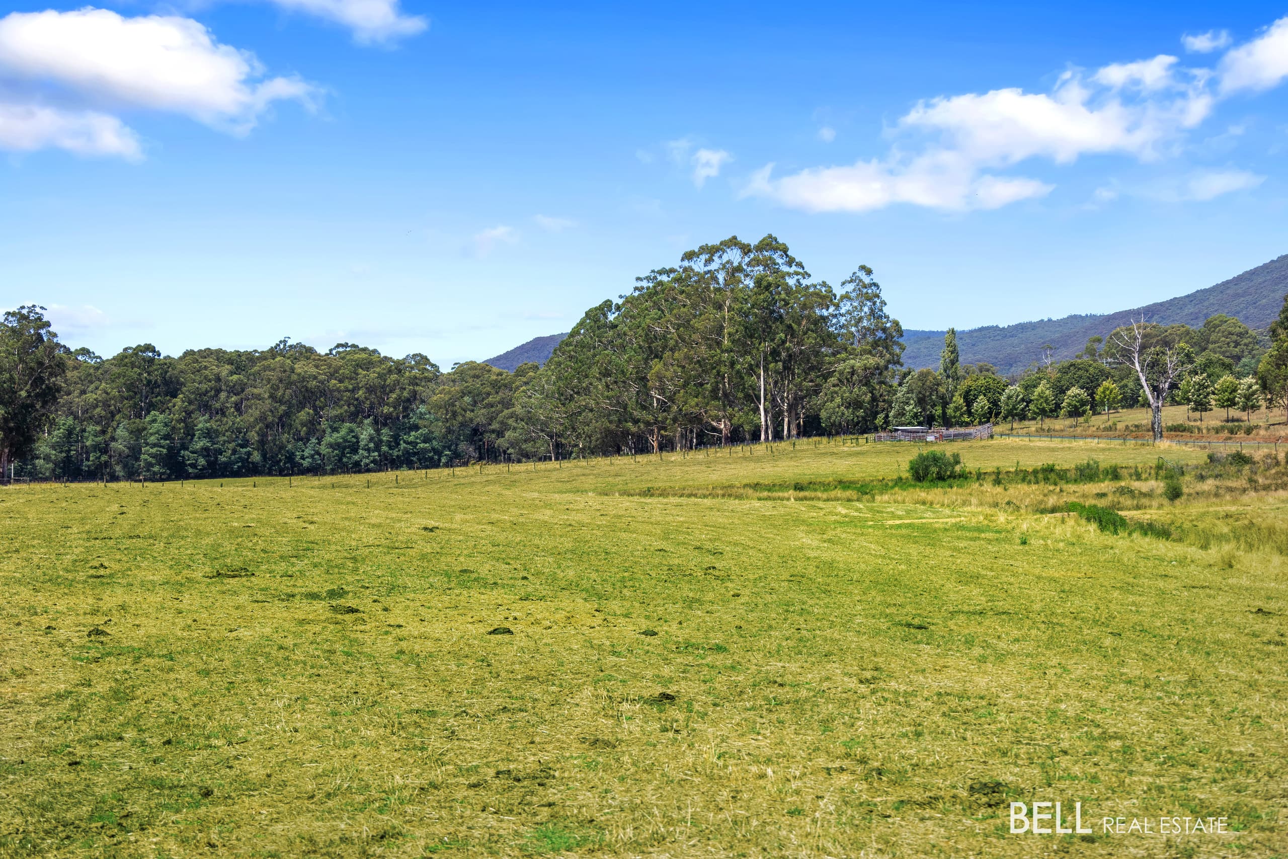 1145 Little Yarra Road, THREE BRIDGES VIC 3797