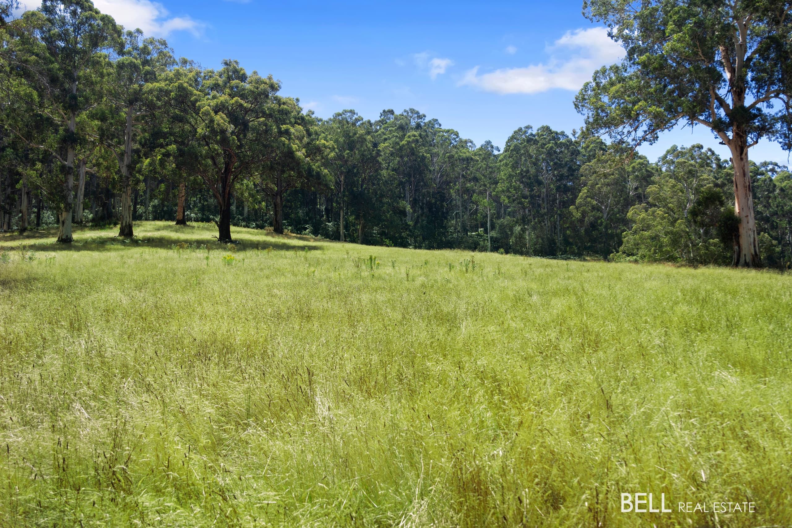 1115 Little Yarra Road, THREE BRIDGES VIC 3797