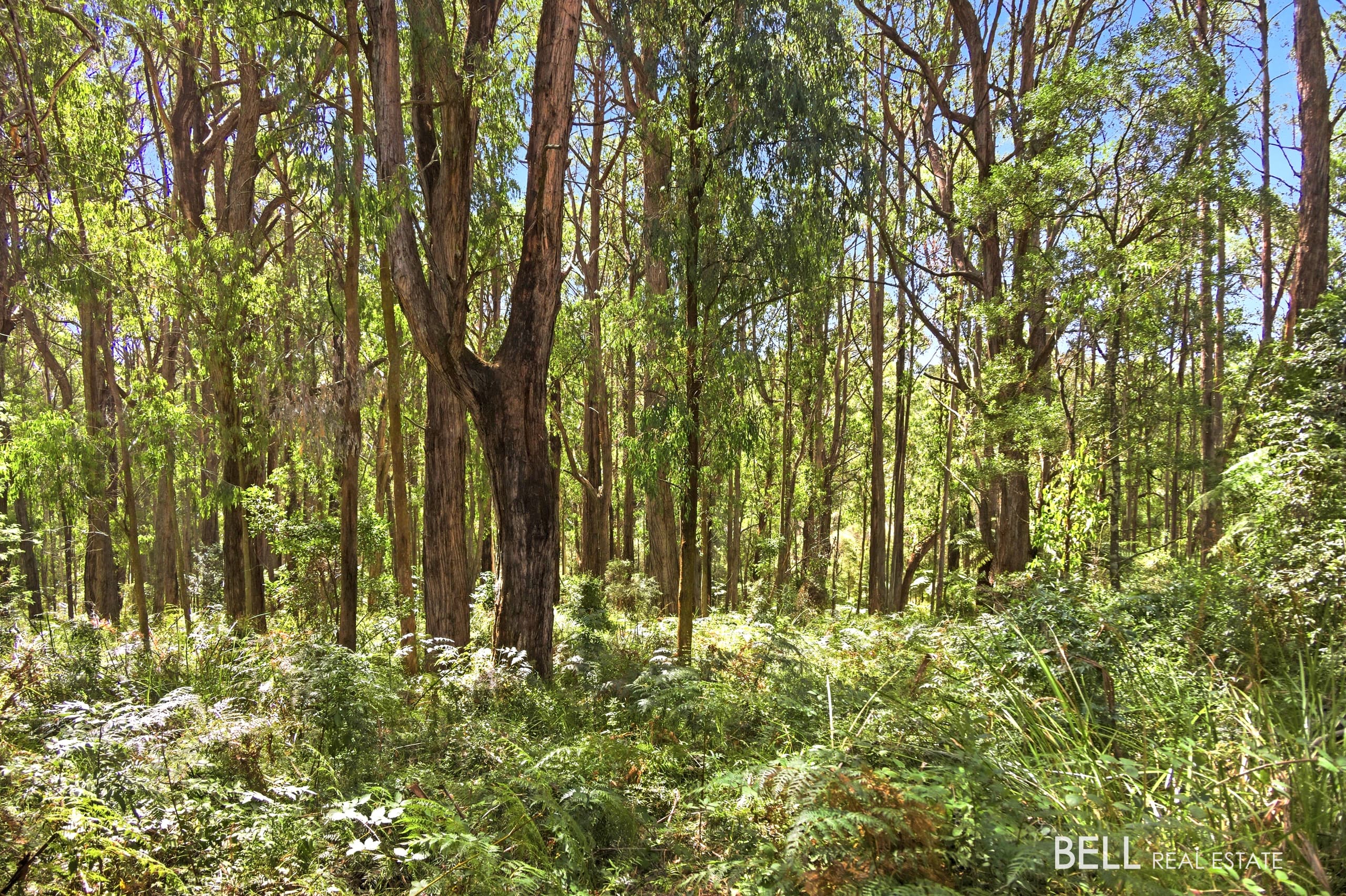 1195 Little Yarra Road, THREE BRIDGES VIC 3797