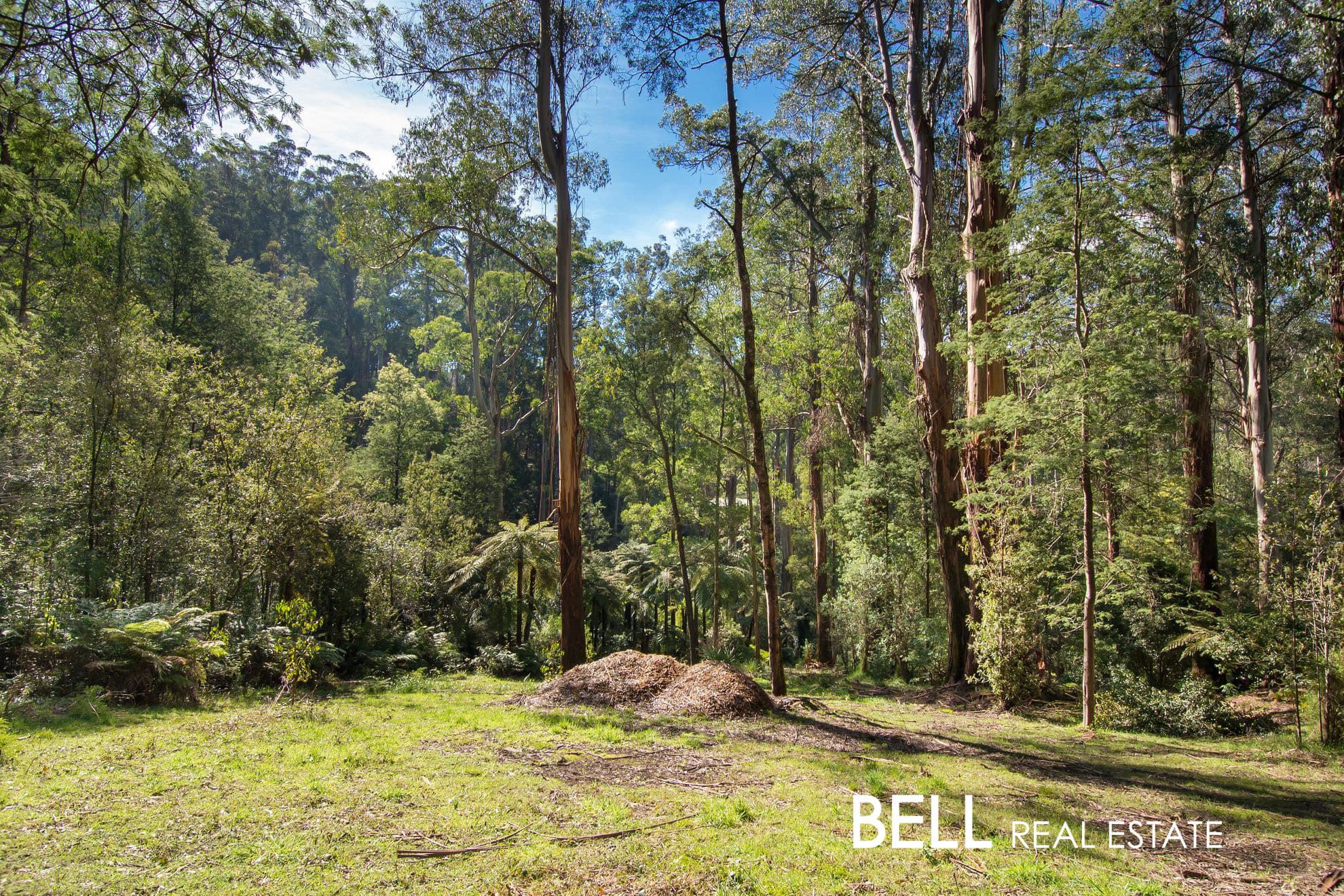 72 Sassafras Creek Road, SHERBROOKE VIC 3789